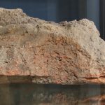 De Ziua Națională a Culturii, elevii din Parța, dar și din Timișoara au vizitat replica sanctuarului neolitic de la Parța.Still065