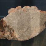 De Ziua Națională a Culturii, elevii din Parța, dar și din Timișoara au vizitat replica sanctuarului neolitic de la Parța.Still066