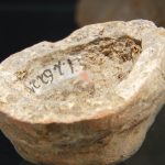 De Ziua Națională a Culturii, elevii din Parța, dar și din Timișoara au vizitat replica sanctuarului neolitic de la Parța.Still100