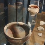 De Ziua Națională a Culturii, elevii din Parța, dar și din Timișoara au vizitat replica sanctuarului neolitic de la Parța.Still102