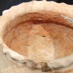 De Ziua Națională a Culturii, elevii din Parța, dar și din Timișoara au vizitat replica sanctuarului neolitic de la Parța.Still106