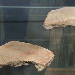 De Ziua Națională a Culturii, elevii din Parța, dar și din Timișoara au vizitat replica sanctuarului neolitic de la Parța.Still110