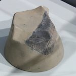 De Ziua Națională a Culturii, elevii din Parța, dar și din Timișoara au vizitat replica sanctuarului neolitic de la Parța.Still113