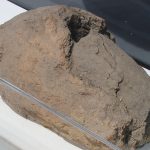 De Ziua Națională a Culturii, elevii din Parța, dar și din Timișoara au vizitat replica sanctuarului neolitic de la Parța.Still114