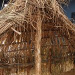 De Ziua Națională a Culturii, elevii din Parța, dar și din Timișoara au vizitat replica sanctuarului neolitic de la Parța.Still126