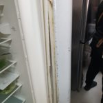 Dezastru în bucătăriile restaurantului Casa Bunicii 1, localul a fost închis temporar de inspectorii OPC (12)