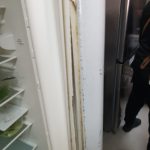 Dezastru în bucătăriile restaurantului Casa Bunicii 1, localul a fost închis temporar de inspectorii OPC (12)