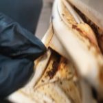 Dezastru în bucătăriile restaurantului Casa Bunicii 1, localul a fost închis temporar de inspectorii OPC (15)