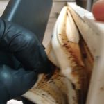 Dezastru în bucătăriile restaurantului Casa Bunicii 1, localul a fost închis temporar de inspectorii OPC (16)