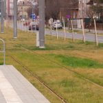 TRAMVAIUL 4 PE BULEVARDUL CETATII 18 FEBRUARIE 2024.Still021