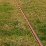 TRAMVAIUL 4 PE BULEVARDUL CETATII 18 FEBRUARIE 2024.Still022