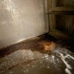 două magazine Mega Image închise de protecția consumatorilor (18)