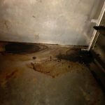 două magazine Mega Image închise de protecția consumatorilor (20)