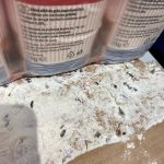 Dezastru la magazinul LIDL de pe Calea Torontalului din Timișoara (10)