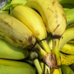 Dezastru la magazinul LIDL de pe Calea Torontalului din Timișoara (19)