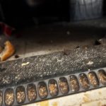 Dezastru la magazinul LIDL de pe Calea Torontalului din Timișoara (71)