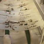 Imagine WhatsApp 2024-03-13 la 18.10.31_9bd9a744