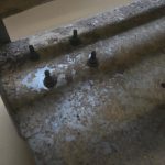 Imagine WhatsApp 2024-03-13 la 18.10.33_1d850f34