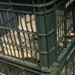 Imagine WhatsApp 2024-03-13 la 18.10.48_1c3ec8f6