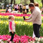 LALLELE IN TIMISOARA.Still033