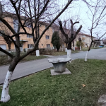 Uzinele de fier Călan, înființate la mijlocul secolului al XIX-lea (24)