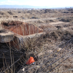 Uzinele de fier Călan, înființate la mijlocul secolului al XIX-lea (27)