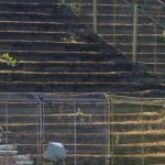 Stadionului „Dan Păltinișanu” (13)