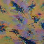 expo radovan ciprian aquatim (4)