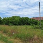 Untitled design (36)