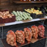 roșii paradaise (12)