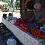 roșii paradaise (27)