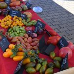 roșii paradaise (34)