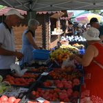 roșii paradaise (4)