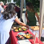 roșii paradaise (47)