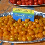 roșii paradaise (52)