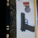 Braconaj cinergetic Timiș (4)