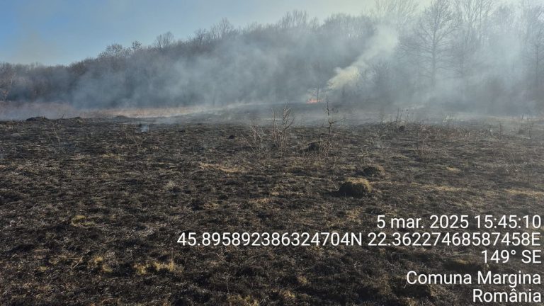 Incendiile de vegetație uscată, un pericol pentru bănățeni, apărut odată cu venirea primăverii