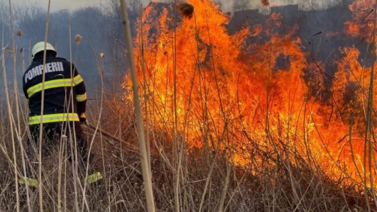 VIDEO | Incendiile de vegetație, o problemă tot mai gravă în vestul țării. Un pompier din Caraș – Severin a fost accidentat de un copac ars care a căzut