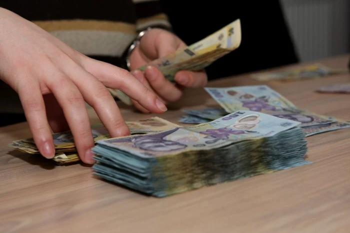 Trei firme din Timiș, cercetate pentru fraudă cu prejudiciu de peste 5 milioane de lei! Ce au făcut administratorii firmelor