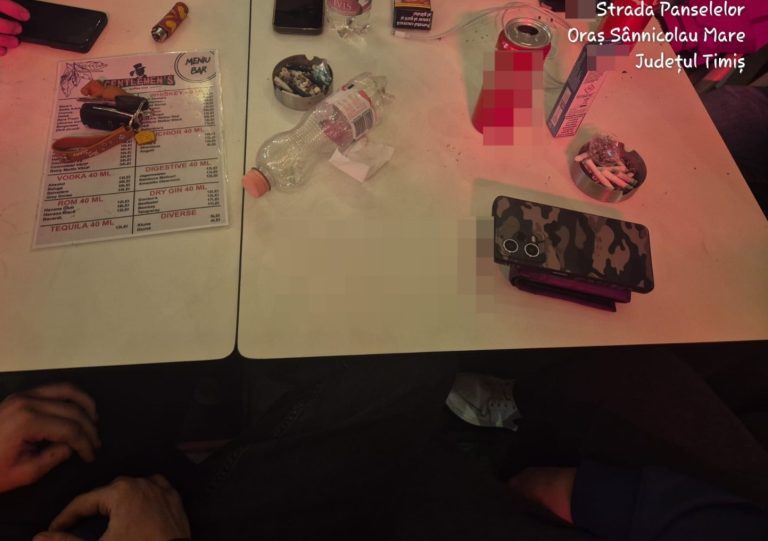 Patronii de localuri din Timișoara și Timiș s-au ales cu amenzi. Iată neregulile constatate de pompieri!