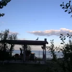 Casa scriitorilor de la Neptun, o poveste despre scriitori și umbrele regimului comunist, microfoanele Securității și declinul actual al litoralului românesc (10)