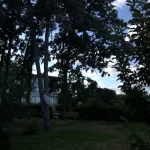 Casa scriitorilor de la Neptun, o poveste despre scriitori și umbrele regimului comunist, microfoanele Securității și declinul actual al litoralului românesc (8)