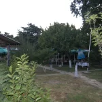 Casa scriitorilor de la Neptun, o poveste despre scriitori și umbrele regimului comunist, microfoanele Securității și declinul actual al litoralului românesc (9)