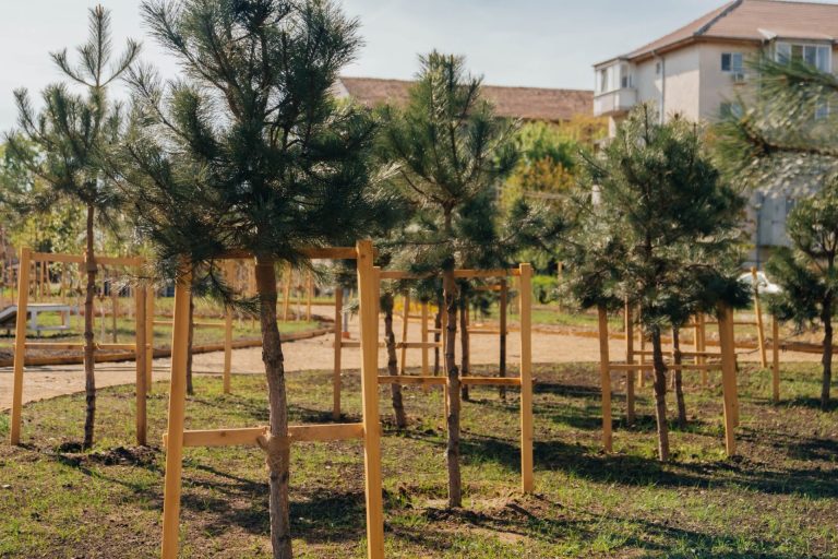 Contract de proiectare semnat pentru trei parcuri noi