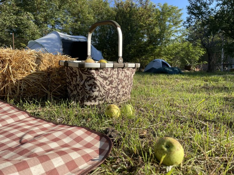 Educație ecologică în mijlocul naturii: ADID Timiș prezentă la Picnic în Pusta Banatului la Otelec