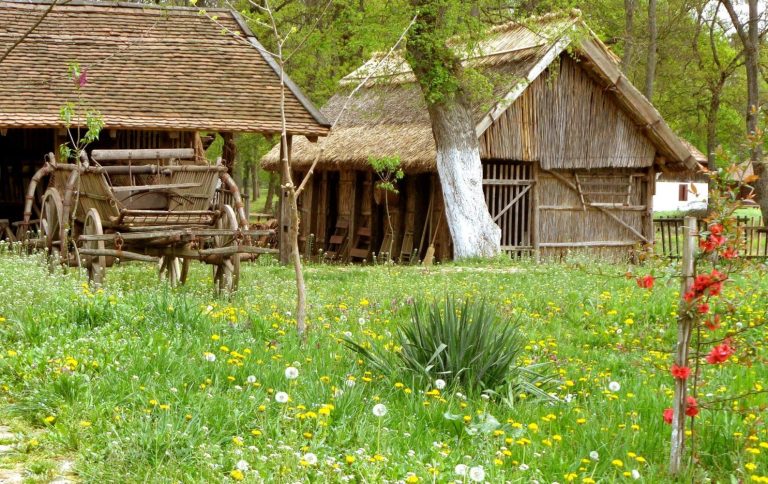 Imagine-cruntă a Muzeului Satului Bănățean! Debandadă, muncă în zadar, servicii externalizate în totalitate