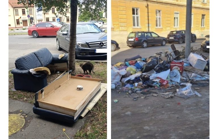 Sancțiuni de 128.000 de lei aplicate de polițiștii locali de la începutul lunii octombrie pentru abandon de deșeuri și incendiere de resturi