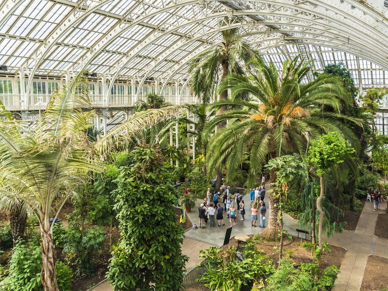 Asociația Grădinii Botanice Timișoara – un pas important pentru dezvoltarea unui proiect verde, inovator și autosustenabil în orașul nostru