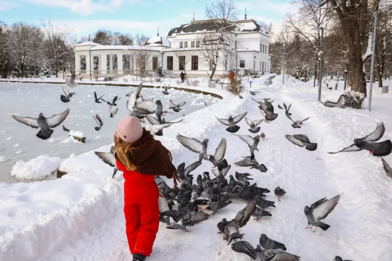 Valul de ger se extinde în Banat. Când va fi cel mai frig și cât va mai ninge