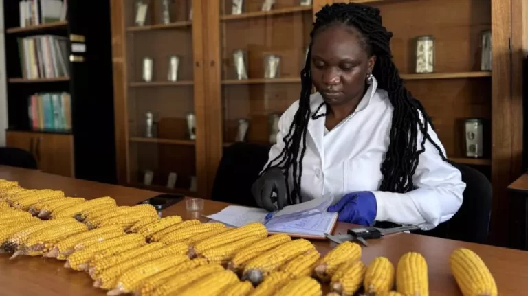O studentă din Republica Centraafricană și povestea ei timișoreană! Care a fost cea mai grea încercare pentru ea la universitatea în care studiază
